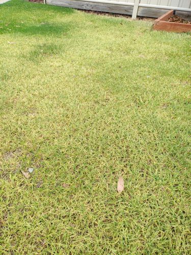 1000057814.jpg 1000057814.jpg