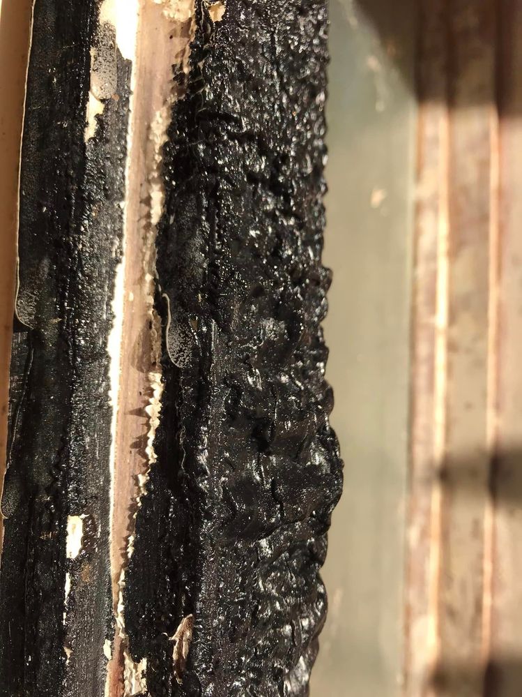 10 19-06-2023.jpg 10 19-06-2023.jpg