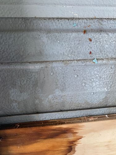 IMG_9627.jpeg IMG_9627.jpeg