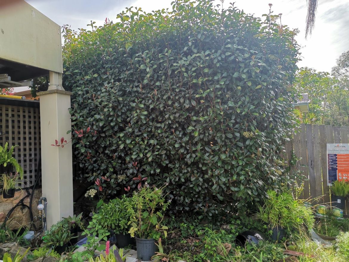 IMG_20200902_104915.jpg IMG_20200902_104915.jpg