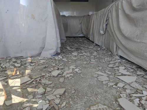 437613033_420119370727857_5025034126920986298_n.jpg 437613033_420119370727857_5025034126920986298_n.jpg