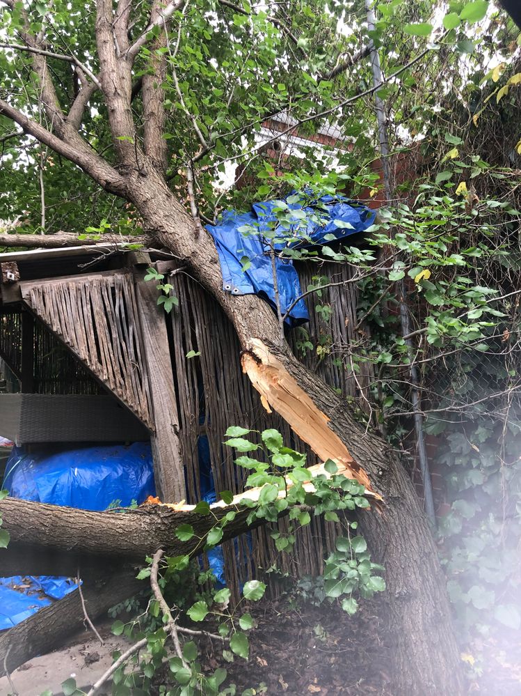 IMG_1498.jpg IMG_1498.jpg