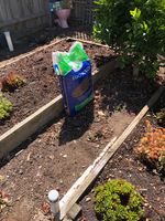 IMG_7200.JPG IMG_7200.JPG