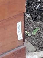 20230505_084929.jpg 20230505_084929.jpg