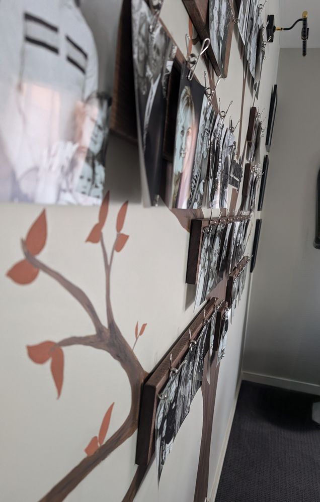 PXL_20240624_032244038.MP~2.jpg PXL_20240624_032244038.MP~2.jpg