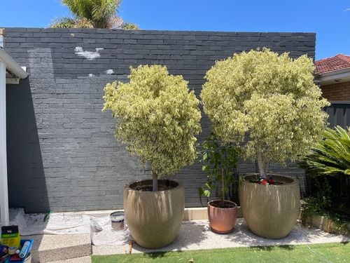 IMG_0622.jpeg IMG_0622.jpeg