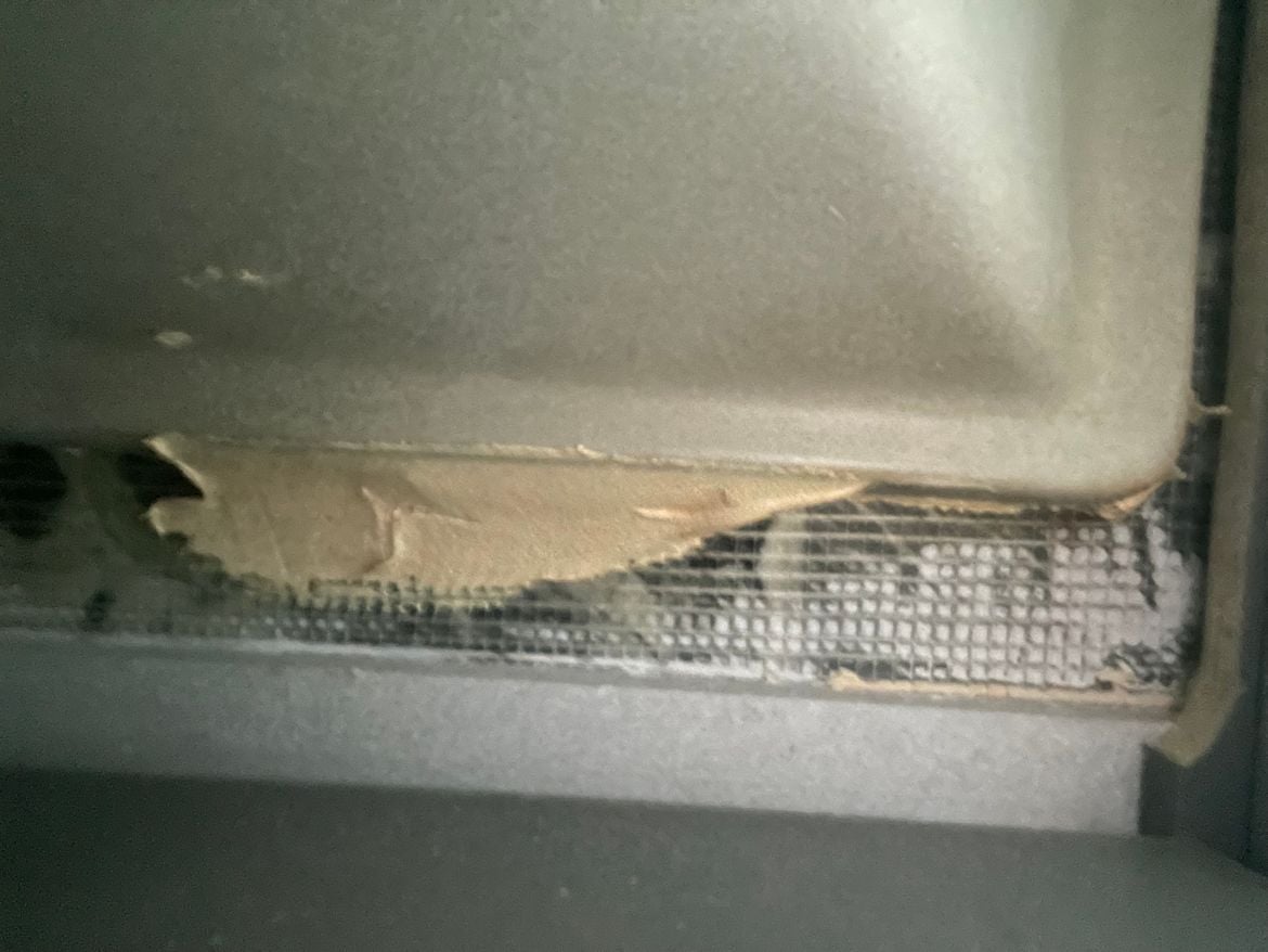 IMG_6462.jpg IMG_6462.jpg