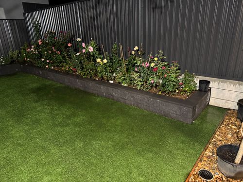 IMG_2559.jpeg IMG_2559.jpeg