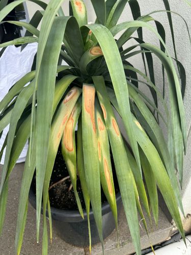 IMG_8369.jpeg IMG_8369.jpeg