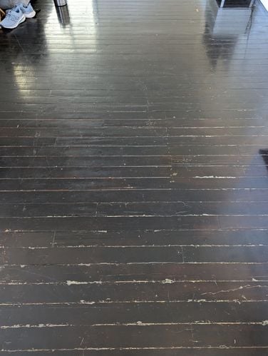 PXL_20230906_230816274.jpg PXL_20230906_230816274.jpg