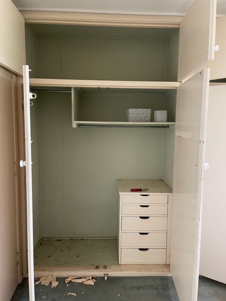 IMG_5743.jpeg IMG_5743.jpeg