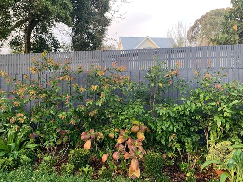 IMG_2092.jpeg IMG_2092.jpeg