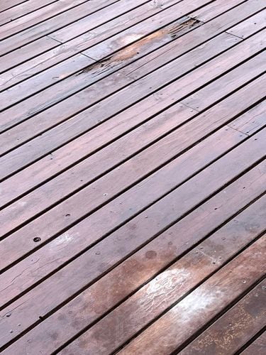 IMG_0988.jpeg IMG_0988.jpeg