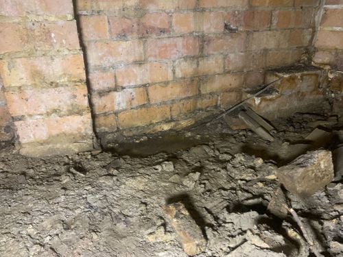 IMG_6296.jpeg IMG_6296.jpeg