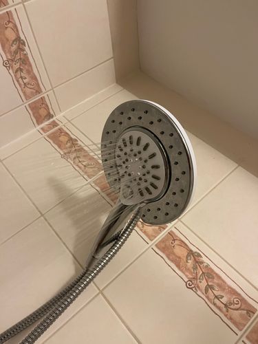 IMG_8509.jpeg IMG_8509.jpeg