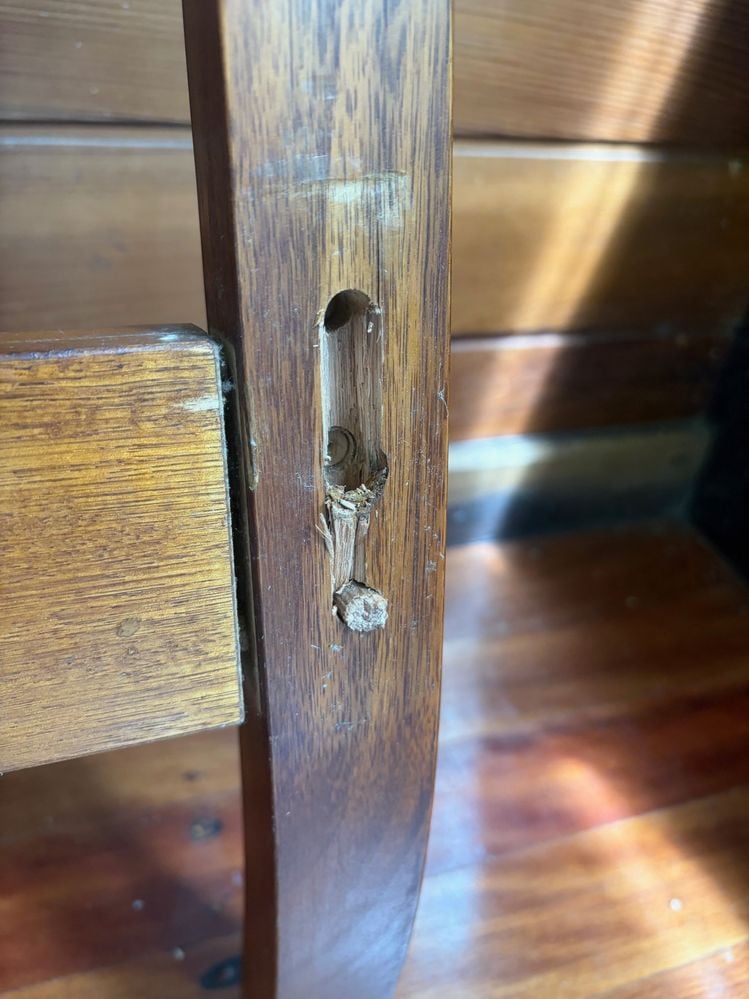 IMG_0393.jpeg IMG_0393.jpeg