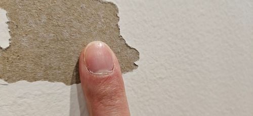 1000007160.jpg 1000007160.jpg