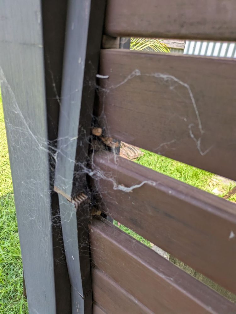 1000023309.jpeg 1000023309.jpeg