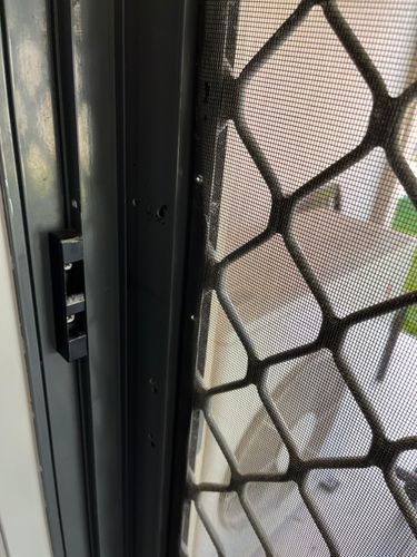 IMG_0216.jpeg IMG_0216.jpeg