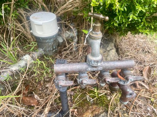 IMG_4828.jpeg IMG_4828.jpeg