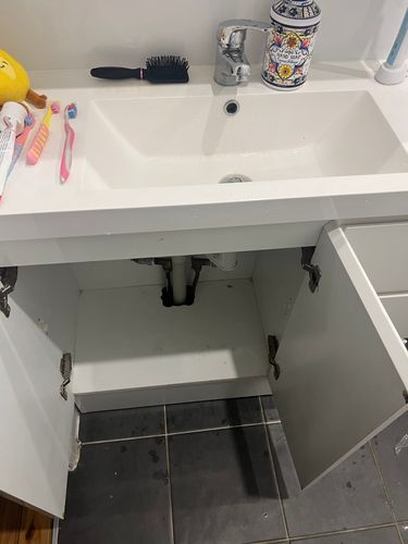 IMG_7371.jpeg IMG_7371.jpeg