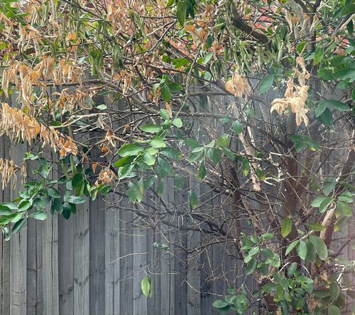 IMG_1951.jpeg IMG_1951.jpeg