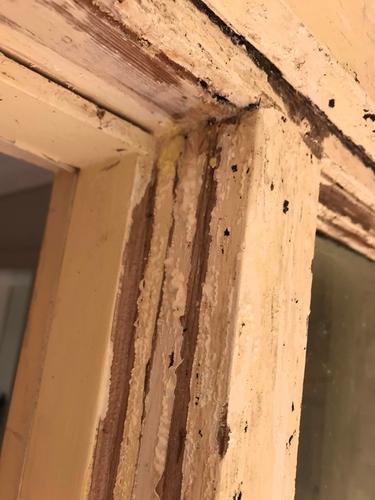 14 19-06-2023.jpg 14 19-06-2023.jpg