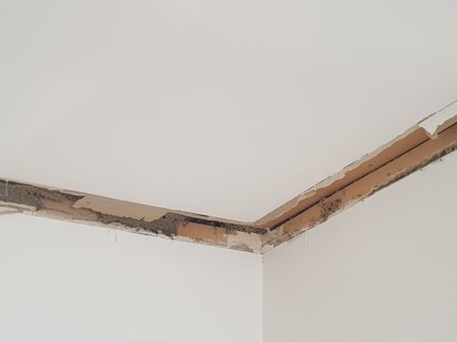 20230808_114305.jpg 20230808_114305.jpg