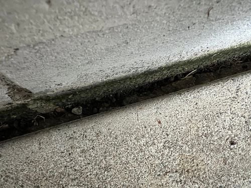 IMG_7407 Large.jpeg IMG_7407 Large.jpeg