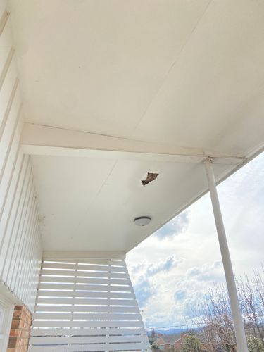 IMG_8015.jpeg IMG_8015.jpeg