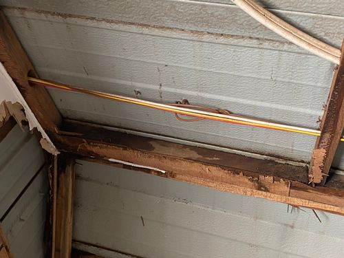 IMG_9625.jpeg IMG_9625.jpeg