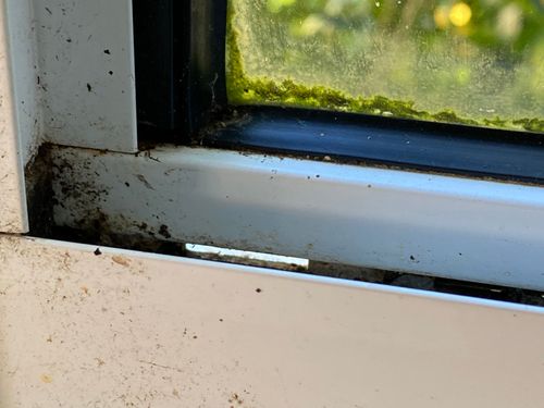 8F79913A-CA8F-481C-8104-8C2F1C42CCE6.jpeg 8F79913A-CA8F-481C-8104-8C2F1C42CCE6.jpeg