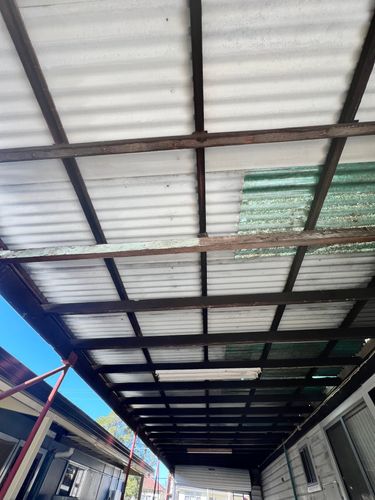 IMG_1846.jpeg IMG_1846.jpeg