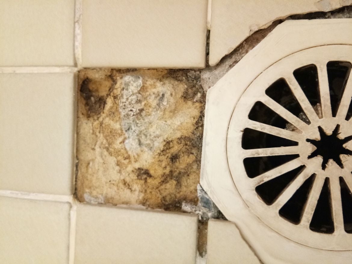 IMG_20181221_083837.jpg IMG_20181221_083837.jpg