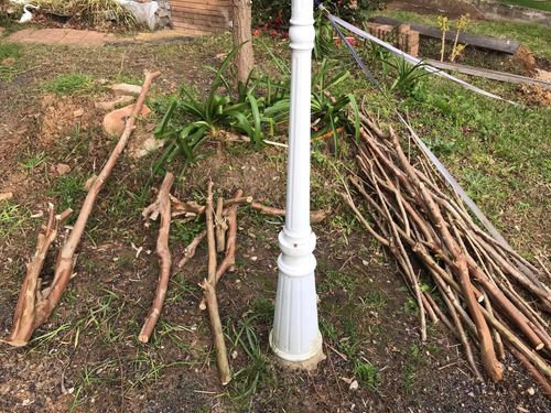 80 09-09-2022.jpg 80 09-09-2022.jpg