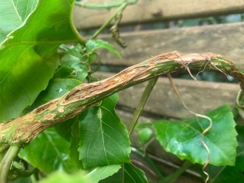 IMG_9889.jpeg IMG_9889.jpeg