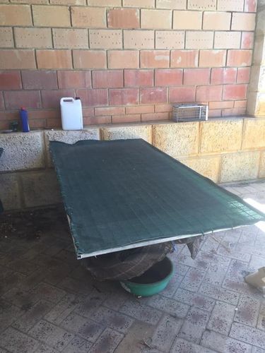 EB33AC7A-DC43-4A63-9D0D-A3A66E8B0070.jpeg EB33AC7A-DC43-4A63-9D0D-A3A66E8B0070.jpeg