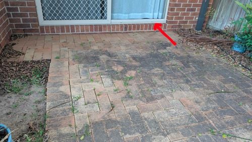 otnimus1_0-1764836385824.jpeg otnimus1_0-1764836385824.jpeg