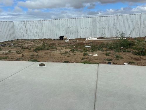 IMG_8080.jpeg IMG_8080.jpeg