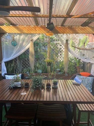 IMG_5831.jpeg IMG_5831.jpeg