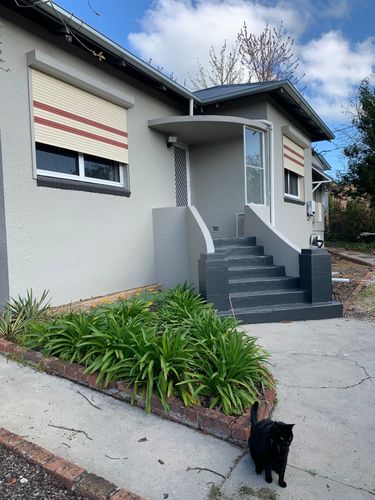 IMG_2476.jpeg IMG_2476.jpeg