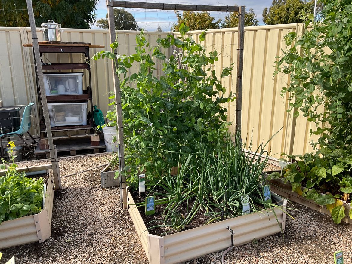 IMG_0786.jpeg IMG_0786.jpeg