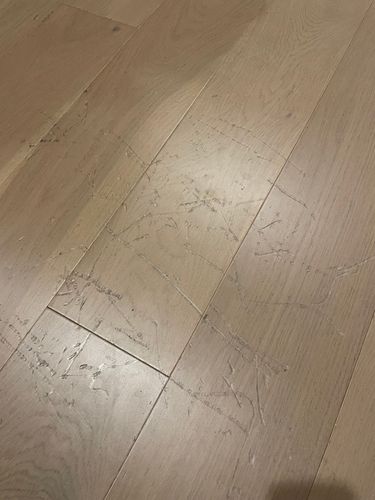 IMG_2017.jpeg IMG_2017.jpeg