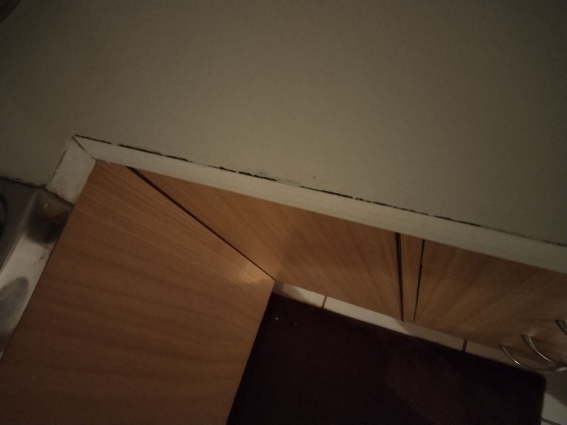 IMG_20250121_040902.jpg IMG_20250121_040902.jpg