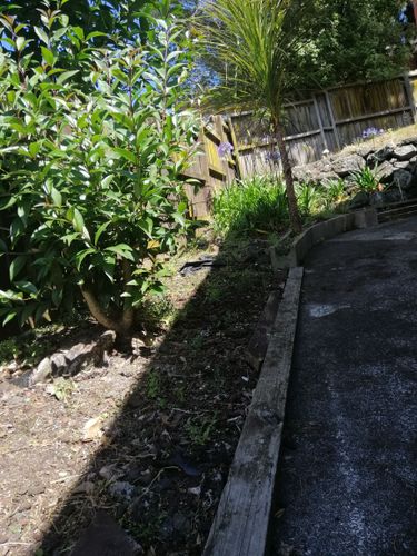 IMG_20191210_102537.jpg IMG_20191210_102537.jpg