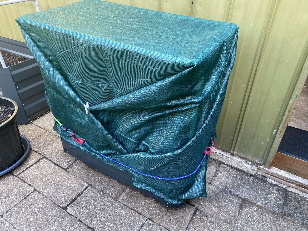 2023-03-26-Gardenbed.JPG 2023-03-26-Gardenbed.JPG