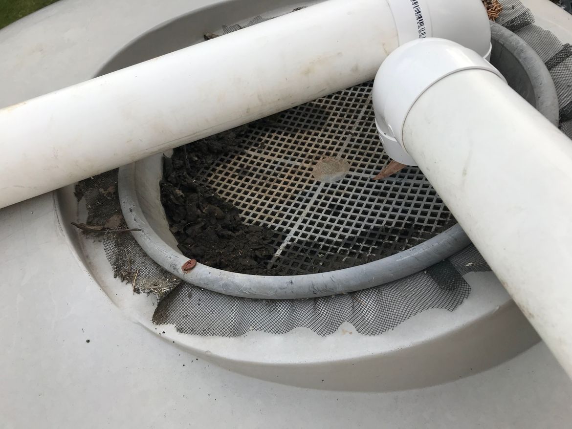 IMG_3010.JPG IMG_3010.JPG