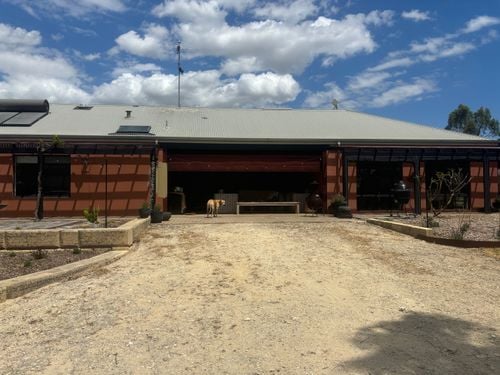 IMG_2954.jpeg IMG_2954.jpeg