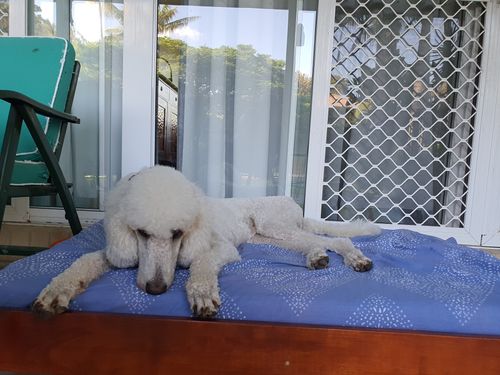 20200406_150642.jpg 20200406_150642.jpg