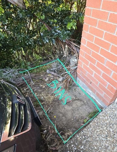 1000096867.jpg 1000096867.jpg